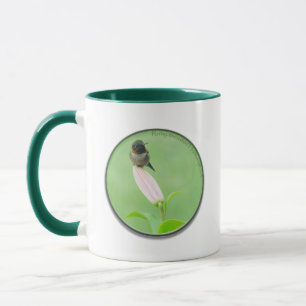 Ruby-throated Hummingbird på Lily Mugg