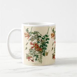 Ruby Throated Hummingbird Painting by Audubon Kaffemugg
