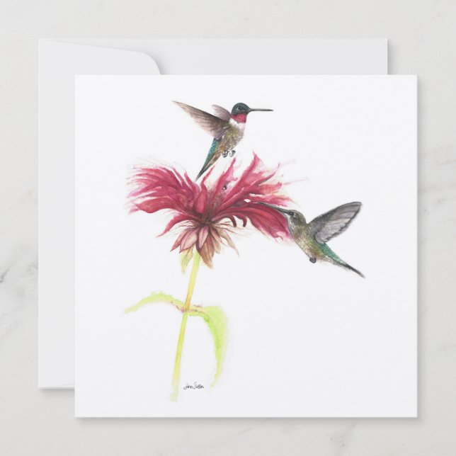 Ruby Throated Hummingbird par (Framsida)