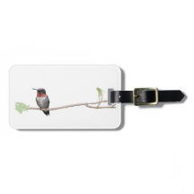 Ruby-Throated Hummingbird, Personlig