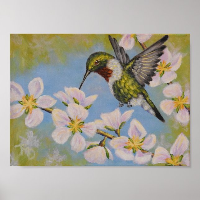 Ruby-Throated Hummingbird - Poster (Framsidan)