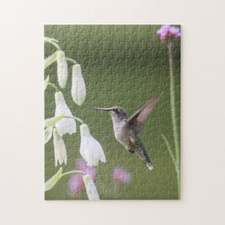 Ruby-throated Hummingbird Pussel