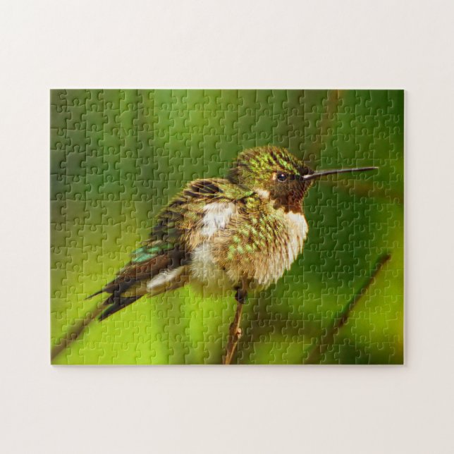 Ruby Throated Hummingbird Puzzle Pussel (Horisontell)
