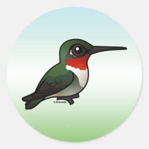 Ruby-throated Hummingbird Runt Klistermärke