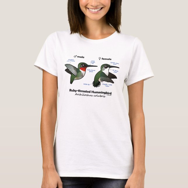 Ruby-throated Hummingbird Statistics T-shirt (Framsida)