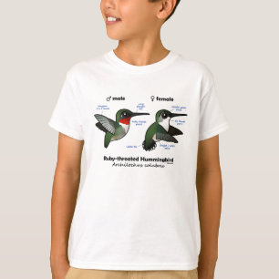 Ruby-throated Hummingbird Statistics Tröja