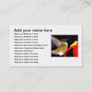 Ruby-Throated Hummingbird Visitkort