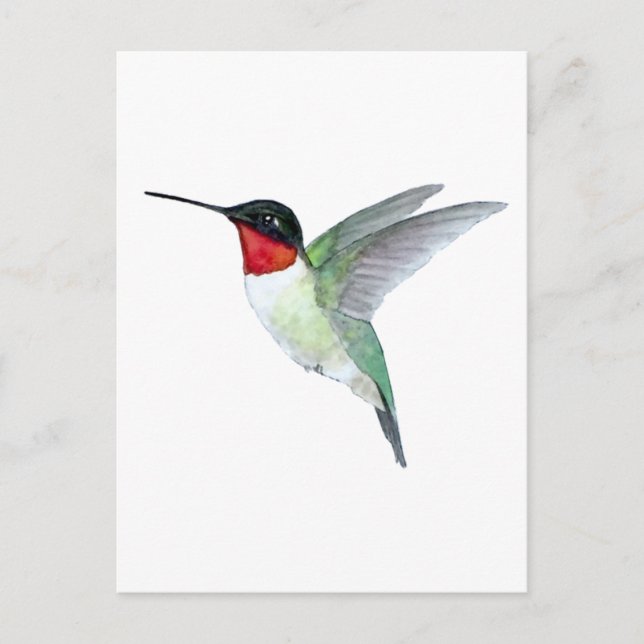 Ruby-throated Hummingbird Vykort (Framsida)