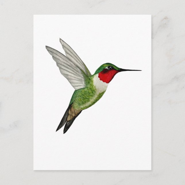Ruby-throated Hummingbird Vykort (Framsida)