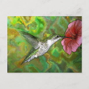 Ruby throated Hummingbird Vykort