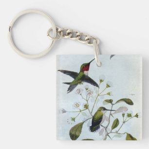 Ruby-throated Hummingbirds