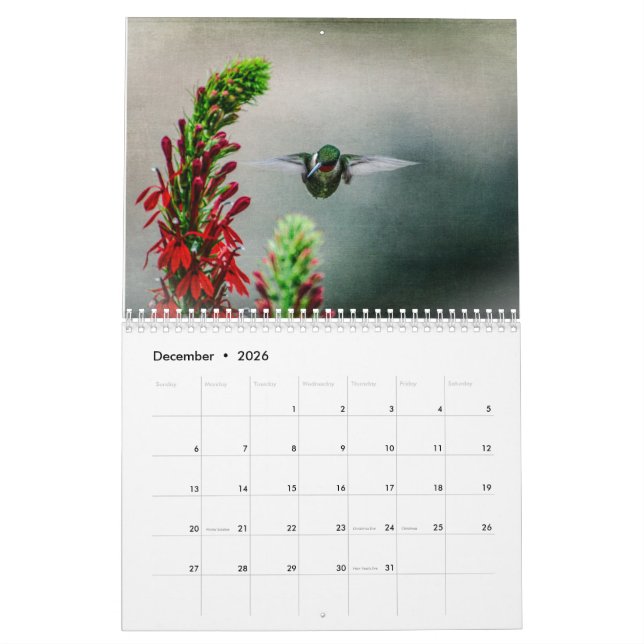 Ruby Throated Hummingbirds Kalender (Dec 2026)