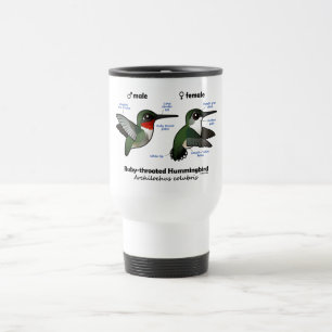 Ruby-throated Hummingbirdstatistik Resemugg