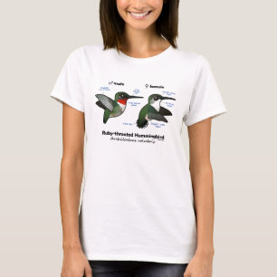 Ruby-throated Hummingbirdstatistik T-shirt