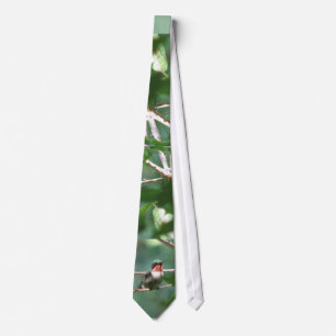 Ruby-throated HummingbirdTie Slips