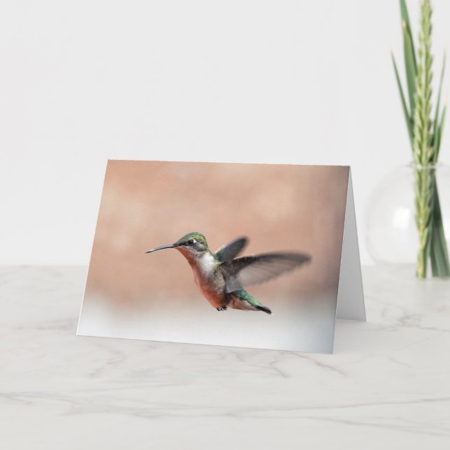 Ruby Throby Hummingbird Blank Note Card Kort (Framsida)