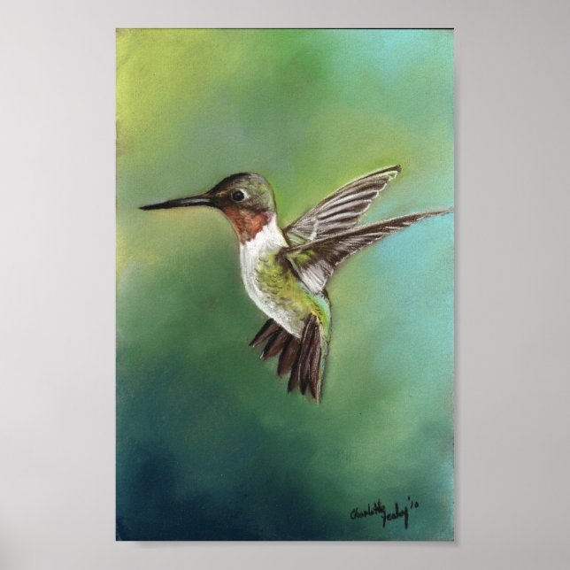 Ruby Throme Humming Bird Art Print Poster (Framsidan)