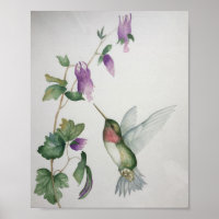 Ruby=trostad Poster av Hummingbird Garden Fuchsia