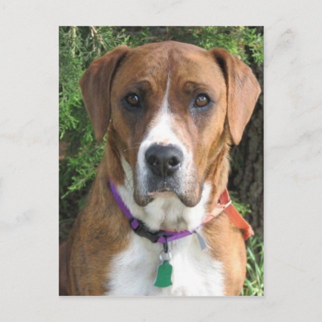 Ruby Vykort (Framsida)