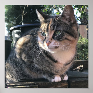 Rubys mamma, mrs Ribby Poster