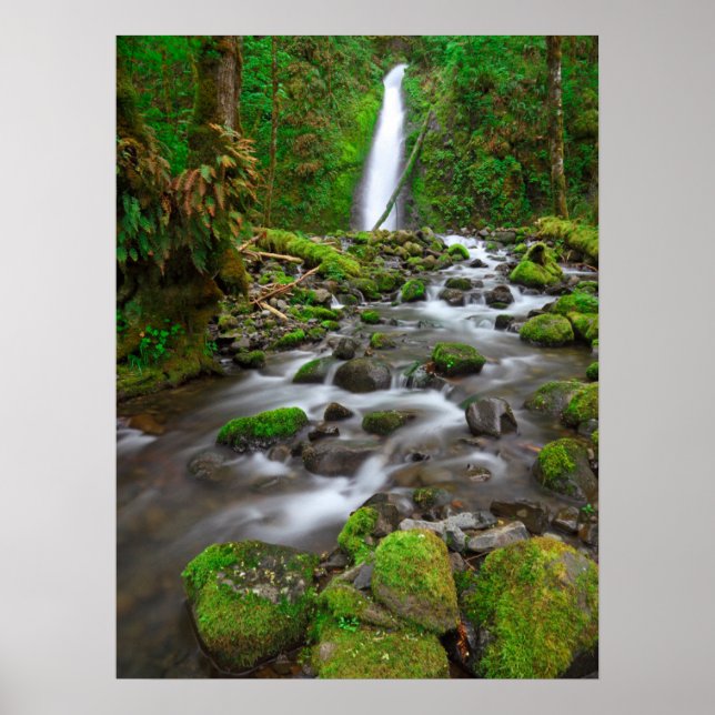 Ruckel Bäck Falls, Columbia River Gorge Oregon Poster (Framsidan)