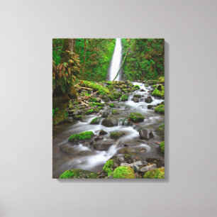 Ruckel Creek Falls, Columbia River Gorge Oregon Canvastryck