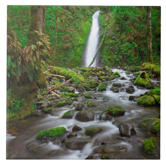 Ruckel Creek Falls, Columbia River Gorge Oregon Kakelplatta (Framsidan)
