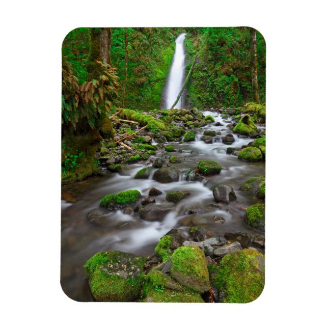 Ruckel Creek Falls, Columbia River Gorge Oregon Magnet (Vertikal)