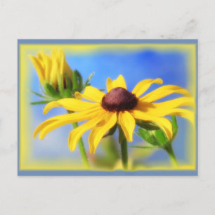 Rudbeckia Blues - Vignette Vykort
