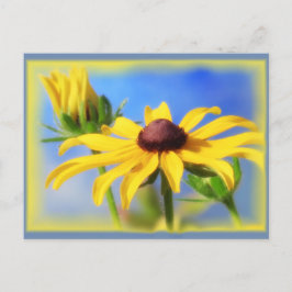 Rudbeckia Blues - Vignette Vykort