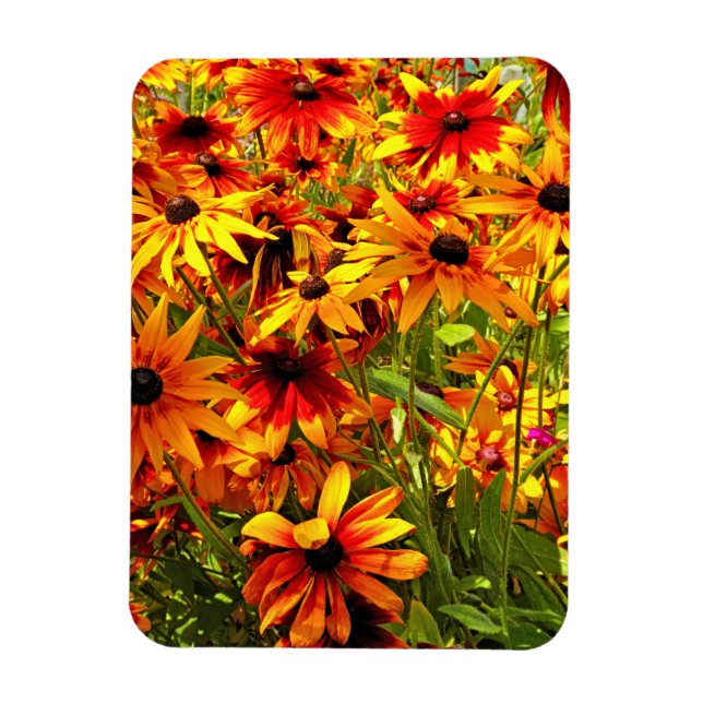 RUDBECKIA FLOWERS MAGNET (Vertikal)