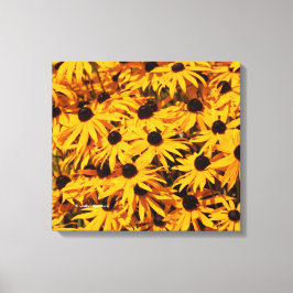 Rudbeckia Fulgida / Orange Coneflower Canvastryck