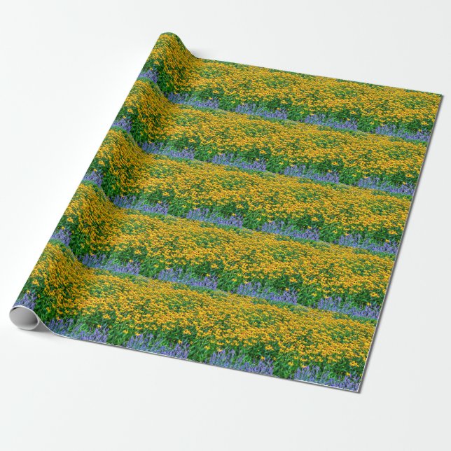 Rudbeckia Hirta Och Lavendel Presentpapper (Utrullad)