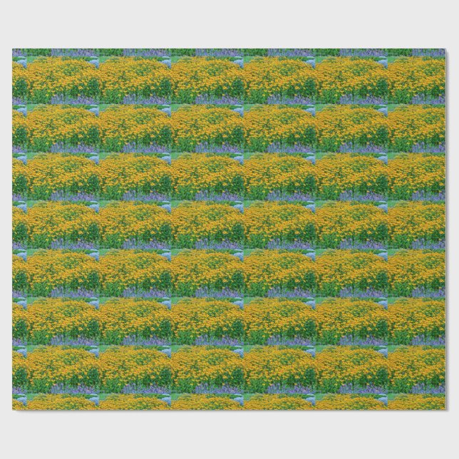 Rudbeckia Hirta och Lavender Presentpapper (Platt)