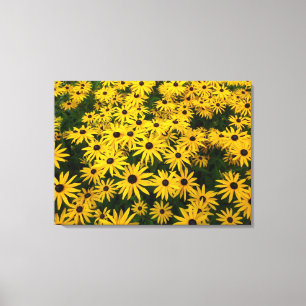 Rudbeckia Hirta (Svartaögda Susans) Canvastryck