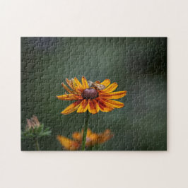 Rudbeckia Sitting Pretty Pussel