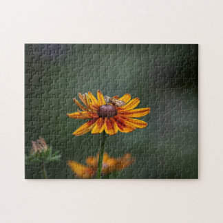 Rudbeckia Sitting Pretty Pussel