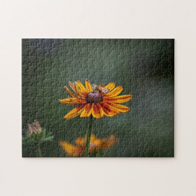 Rudbeckia Sitting Pretty Pussel (Horisontell)