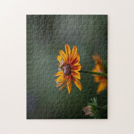 Rudbeckia Sitting Pretty Puzzle Pussel