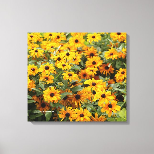 Rudbeckias / A Bed of Black-Eyed Susans Canvastryck (Framsida)