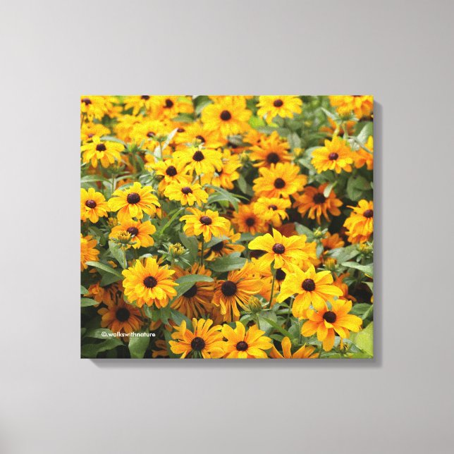 Rudbeckias / A Bed of Black-Eyed Susans Canvastryck (Framsida)