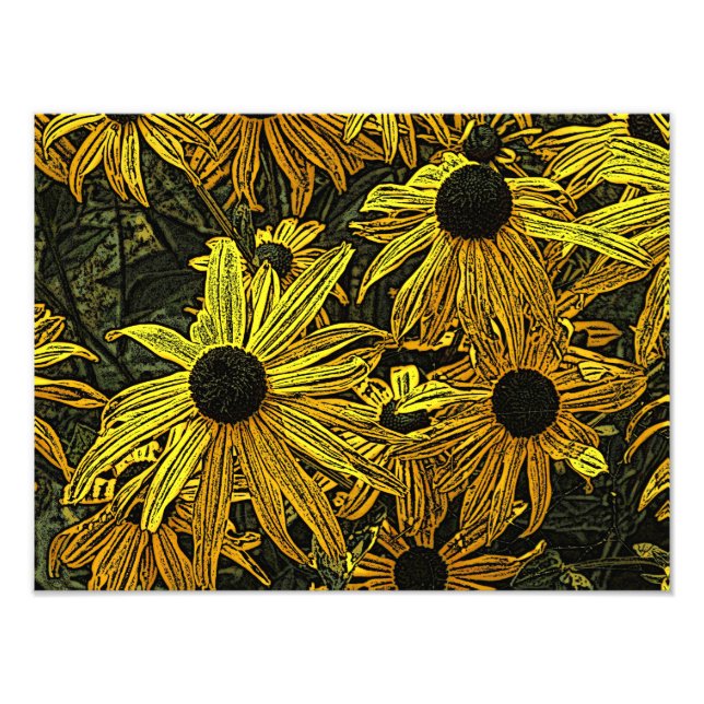 RUDBECKIAS FOTOTRYCK (Framsidan)