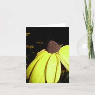 Rudebekia notecard kort