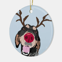 Rudolph Bluetick Coonhoundprydnad