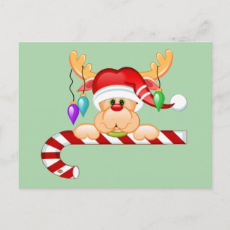 Rudy Candy cane Vykort