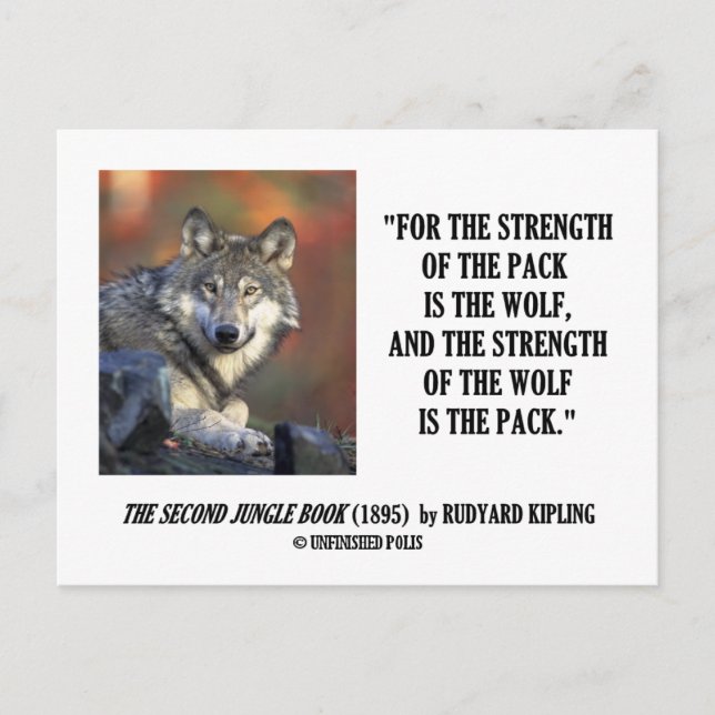 Rudyard Kipling Strength of the Pack Varg Quote Vykort (Framsida)