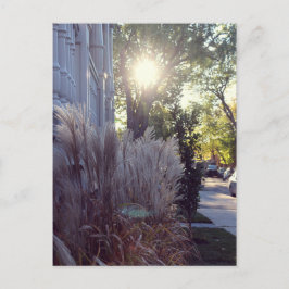 Rue Théodore Vykort