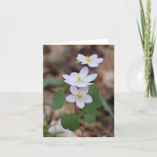 Rueanemon Notecard Kort