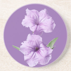Ruellia Vild Petunia Flowers Underlägg