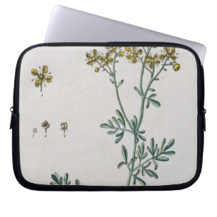 Ruen pläterar 7 från "ett nyfiket växt-", laptop sleeve